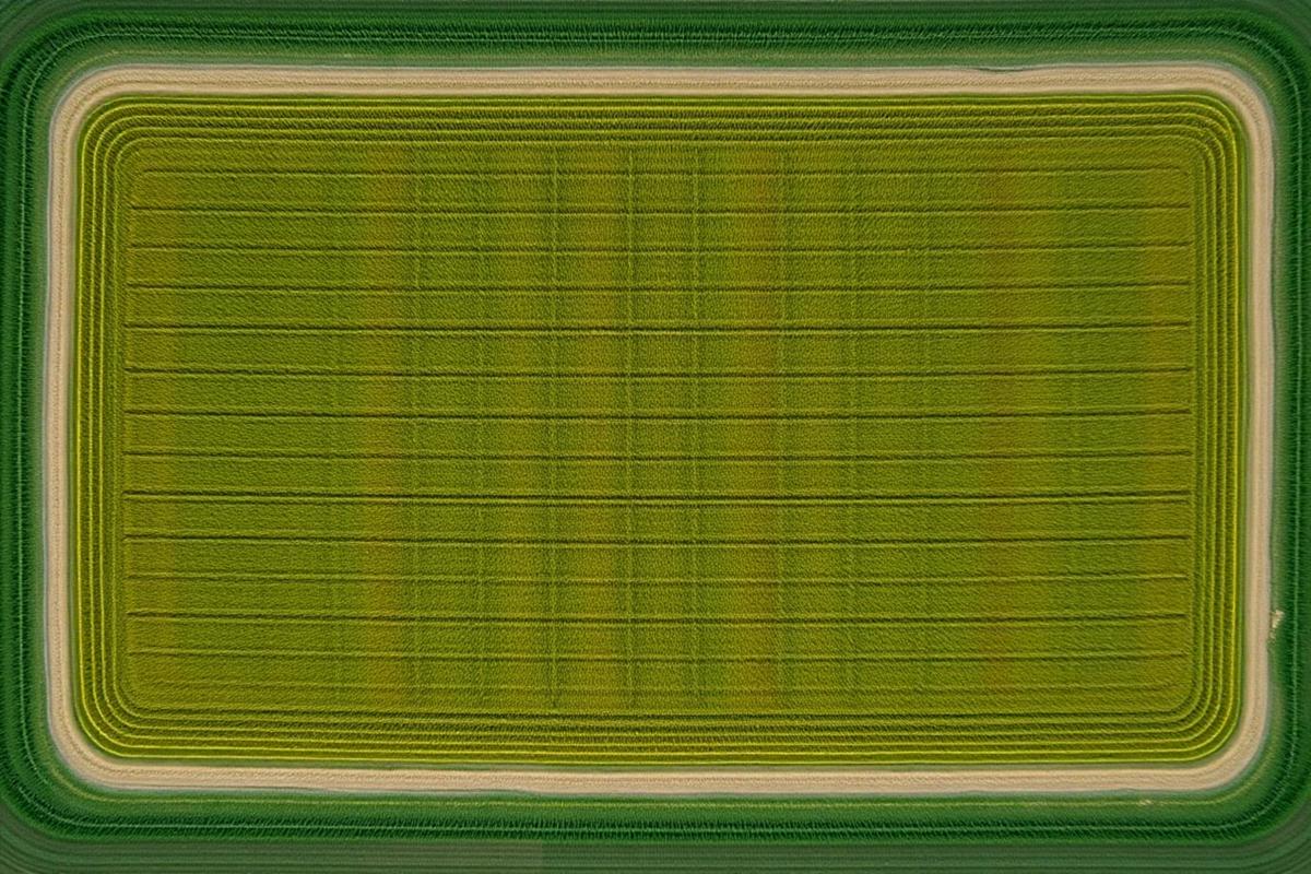 Top-down view of a farm field with a vegetation index overlay in green to amber tones